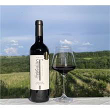 Load image into Gallery viewer, Chateau Lestevenie Côtes de Bergerac Rouge AOC

