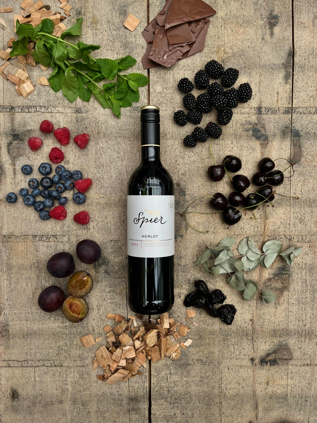 Spier Signature Merlot